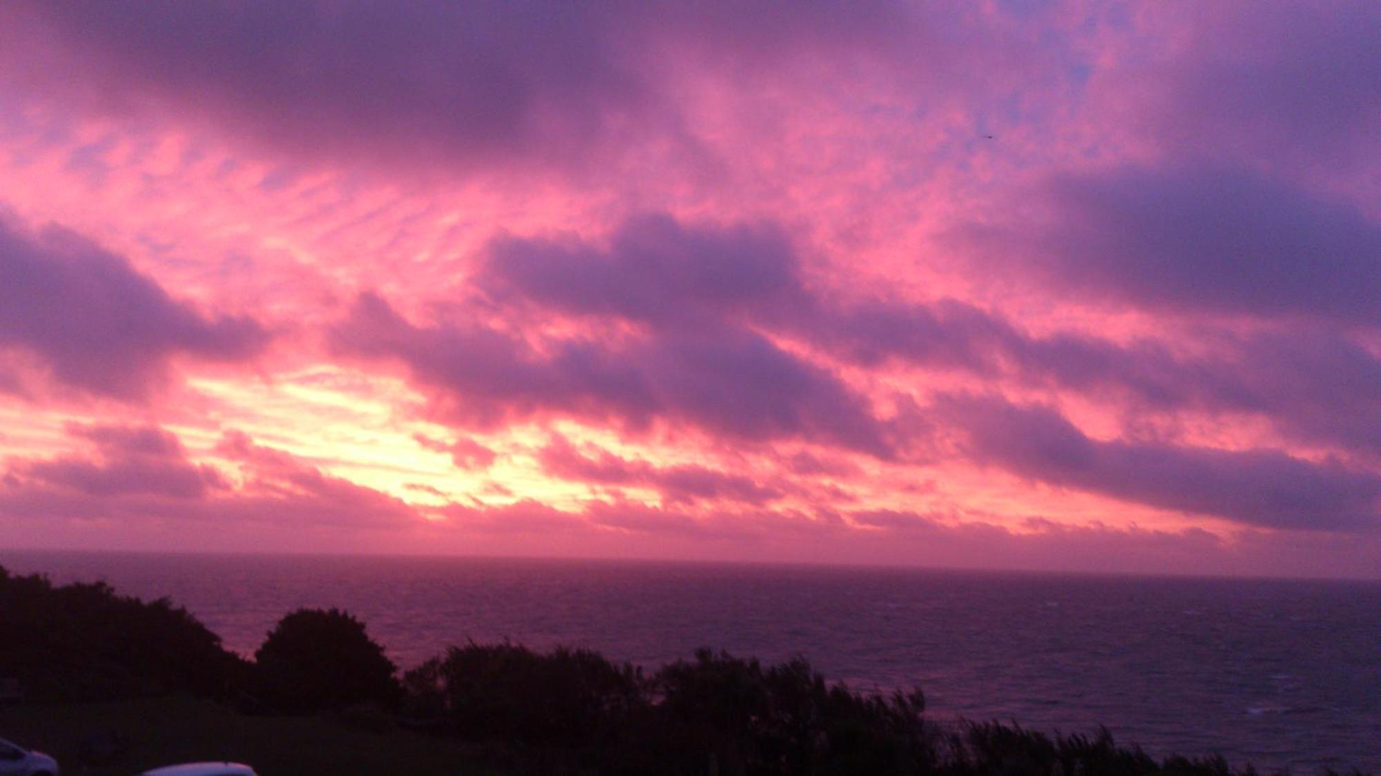 Ventnor Bay House Bed and Breakfast Exteriör bild